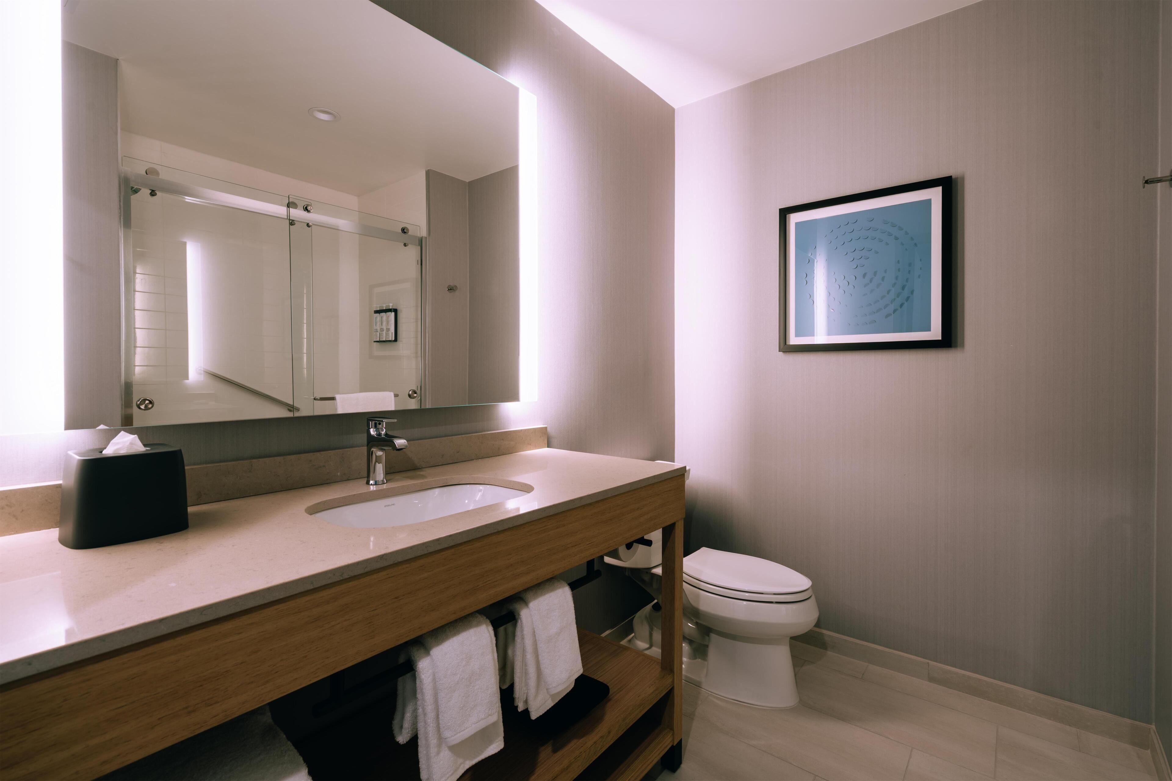 A modern bathroom with a double sink vanity, a toilet, and a framed artwork on the wall.