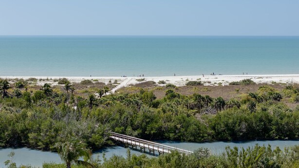 Paesaggio costiero con spiaggia, un ponte sull'acqua e vegetazione lussureggiante.