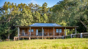 A wooden cabin with a metal roof, surrounded by a grassy field and trees. - The Hitching Rail Hut - Relax, Unwind & Reconnect (Coramba)