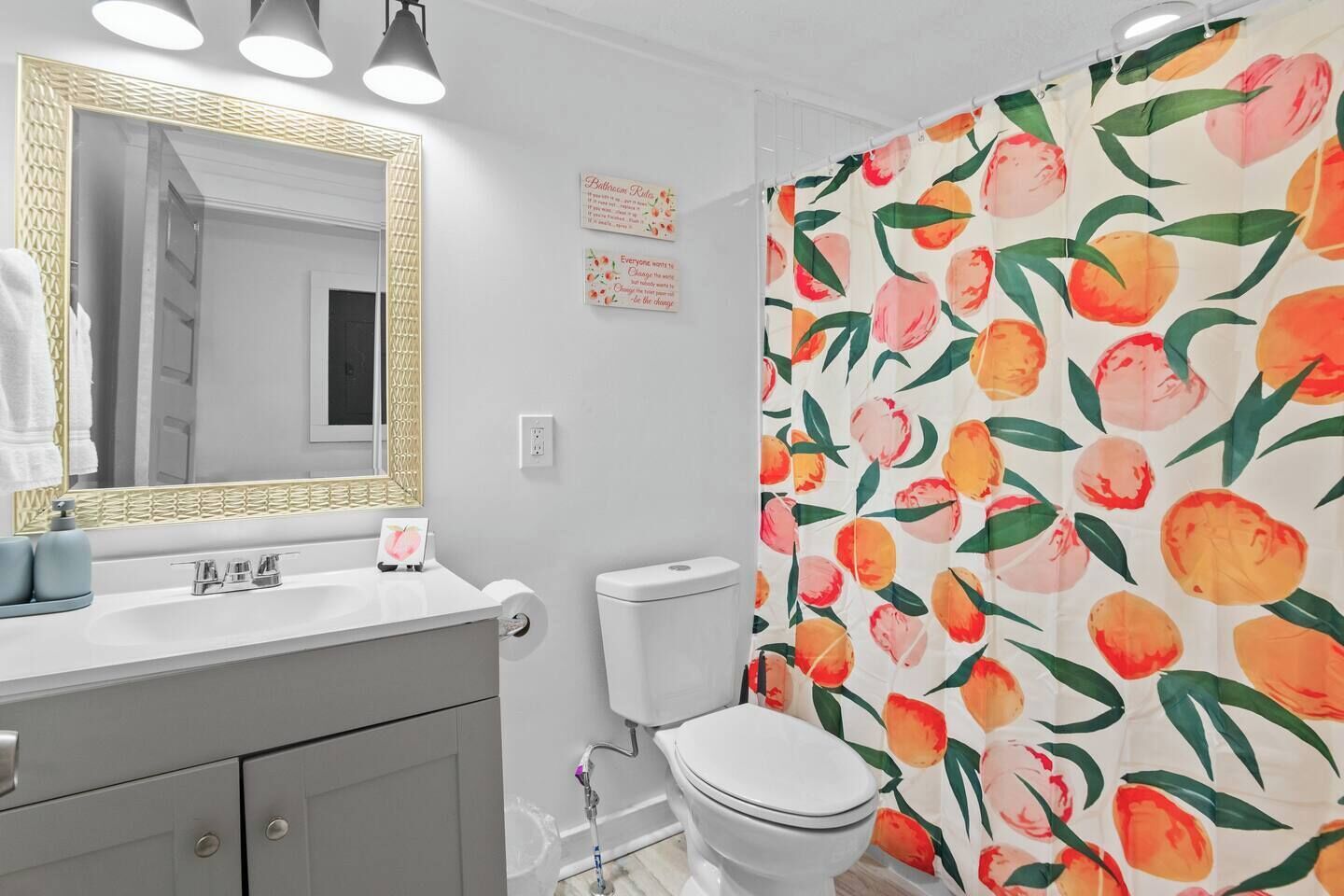 Regadera, secadora de cabello, toallas, papel de baño 