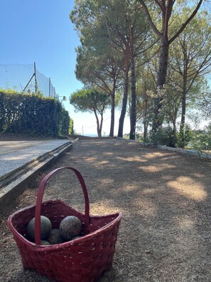 Parco della struttura