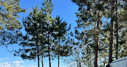 The Gathering Shore | Arcade | Kayaks | Lake Toys