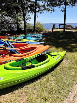 Kayaks alineados en un césped con vista al agua y bancos al fondo.