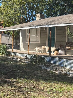Property grounds - Cozy 1-bedroom house in serene Austin with AC comfort (Austin)
