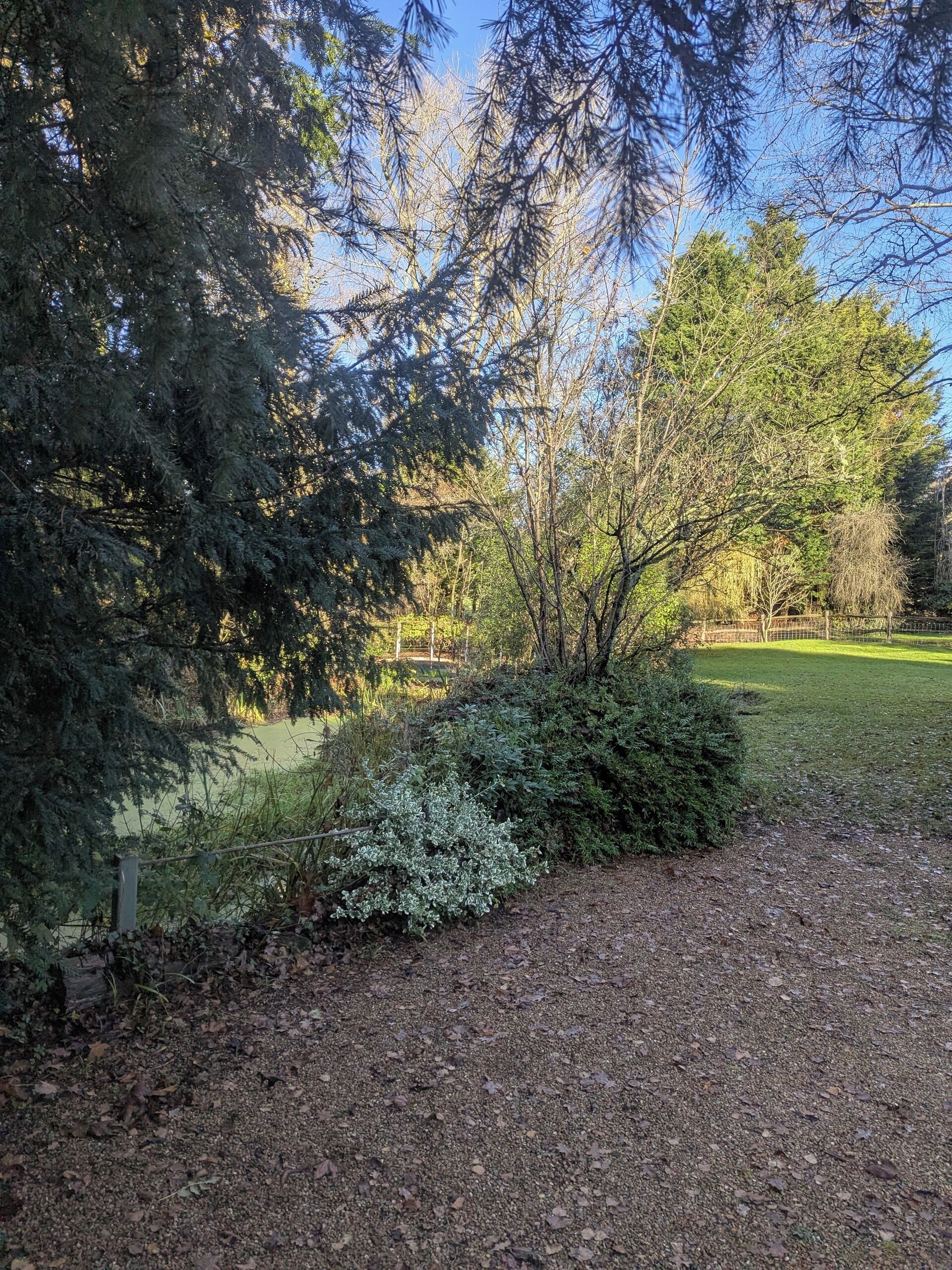 Áreas de la propiedad