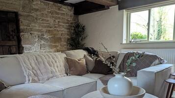 Televisión y chimenea