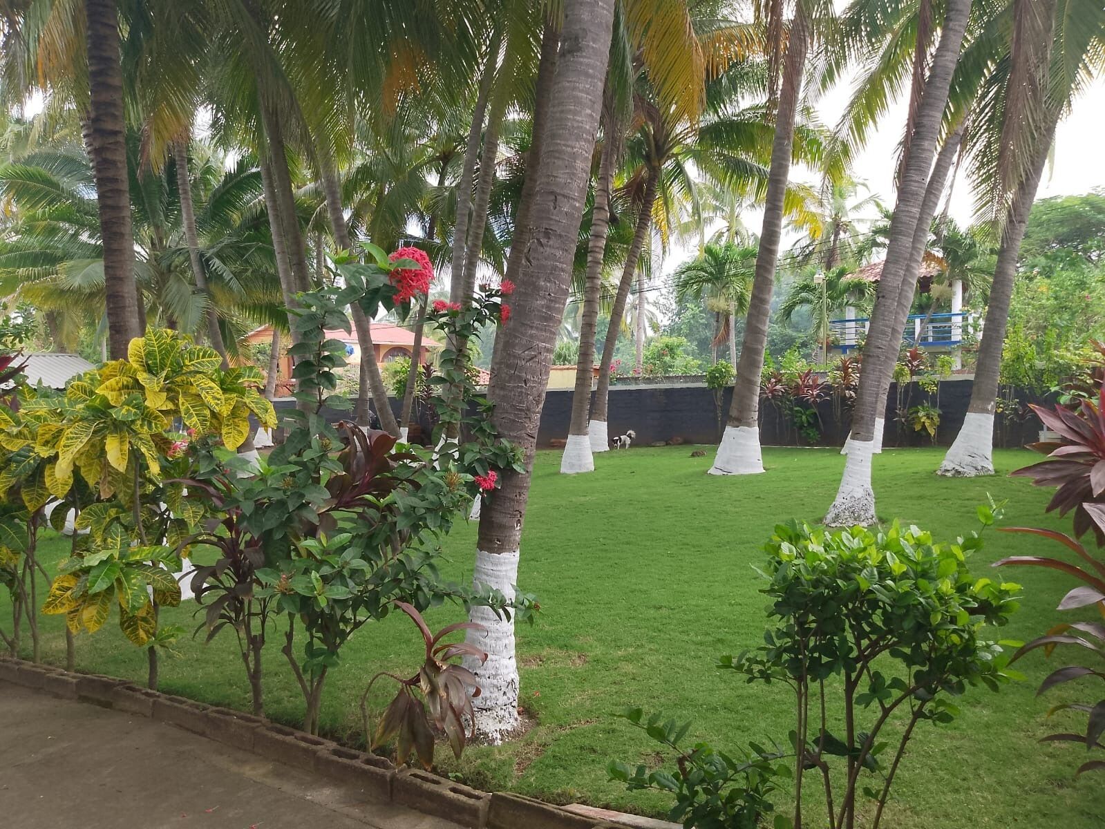 Overnattingsstedets uteområder