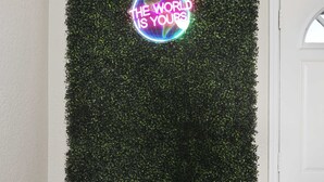Ein Neon-Schild mit dem Text "THE WORLD IS YOURS" vor einem Hintergrund aus Grünpflanzen.