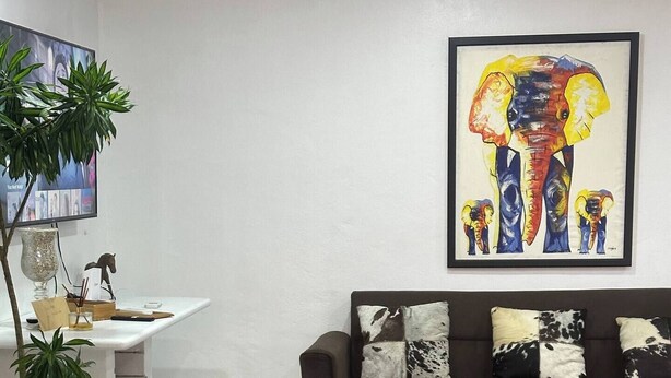 A modern living room with a brown sofa, red cushions, a wooden coffee table, a painting of elephants, and a small plant. - Lavish Lodge -2 Bedrooms 2 Bath (Suva)