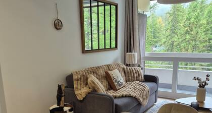 Cosy apartment at the foot of the slopes Vars La Claux