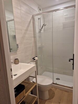 Shower, hair dryer, soap, toilet paper