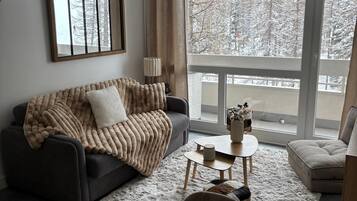 Télévision, cheminée