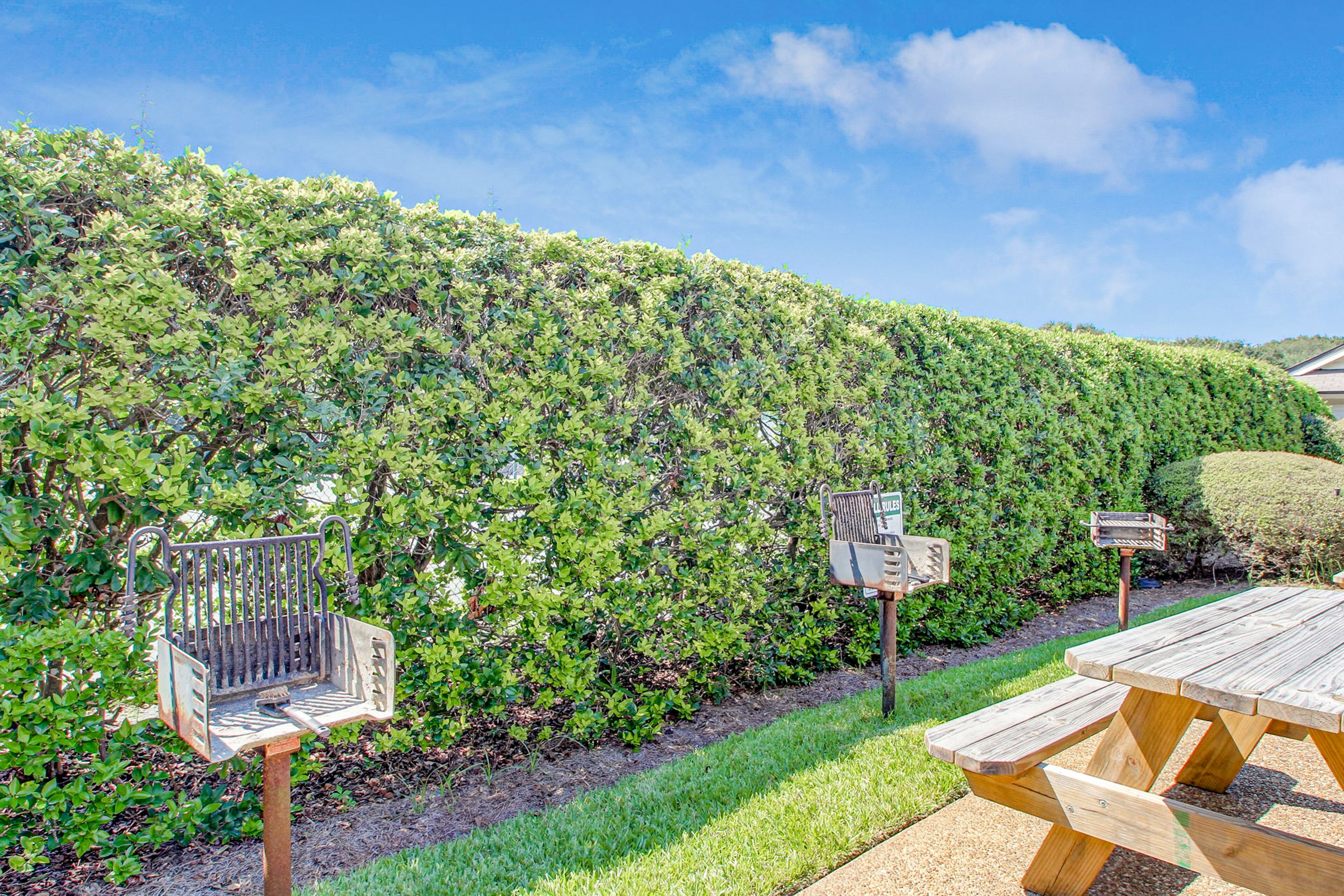 A wooden picnic table and benches in a garden with a hedge in the background.