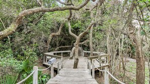 A wooden boardwalk leading through a forested area with rope barriers. - Charming Amelia Island Plantation Condo With Balcony, AC, Washer/dryer & Pool (Fernandina Beach)