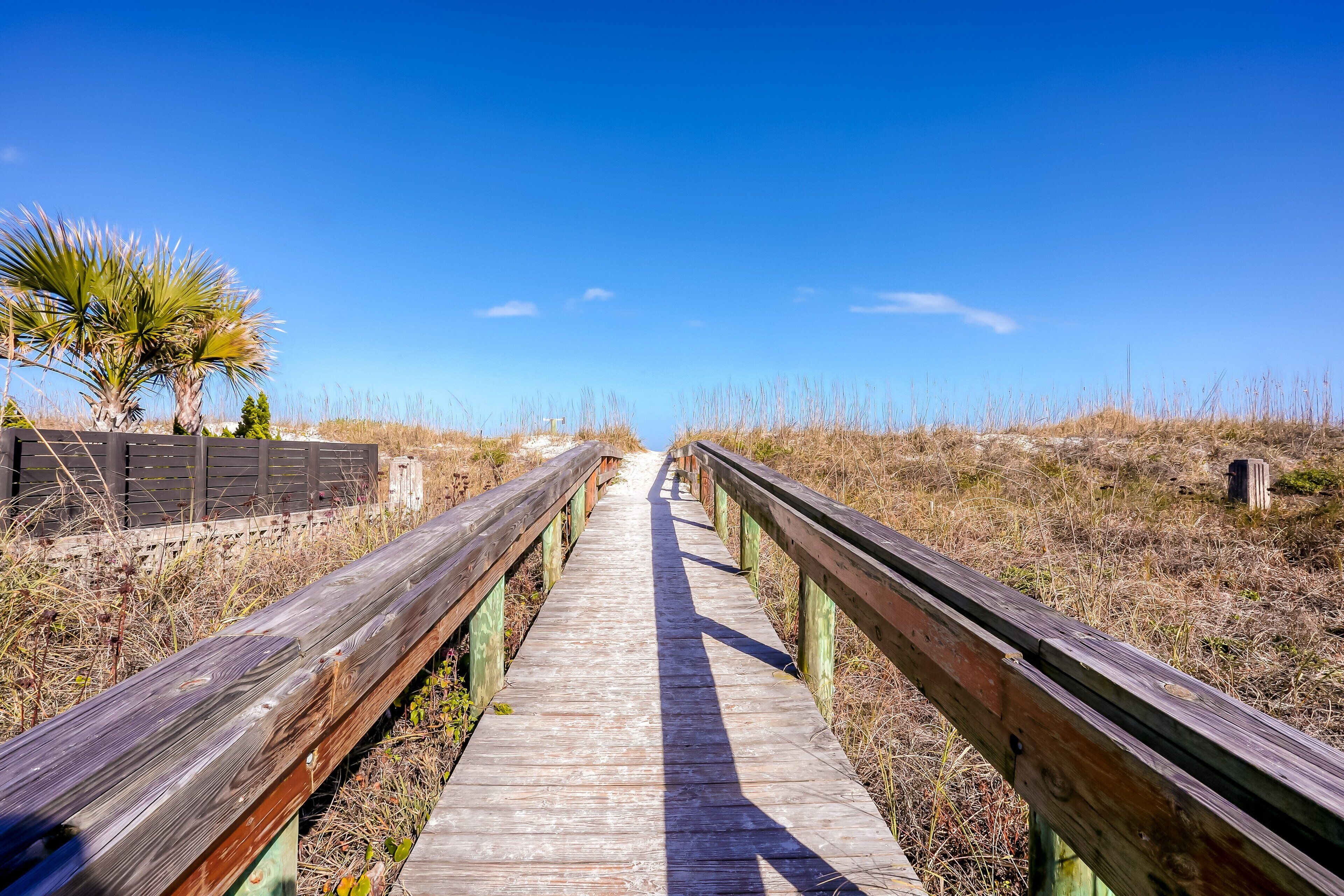 Ein hölzerner Steg führt durch eine natürliche Landschaft mit trockenem Gras und blauem Himmel.