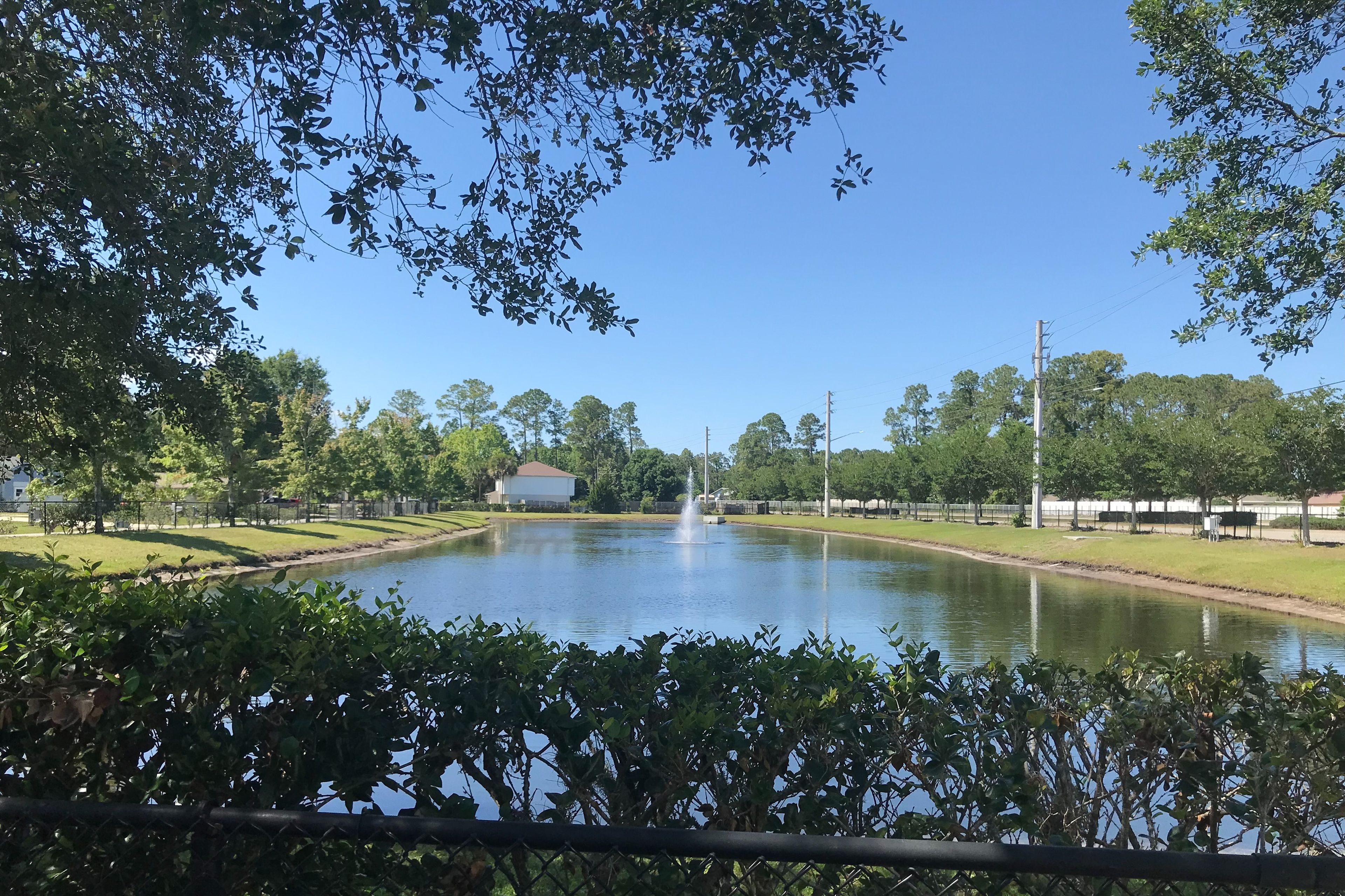 A serene park with a pond, a fountain, and a white building in the background.