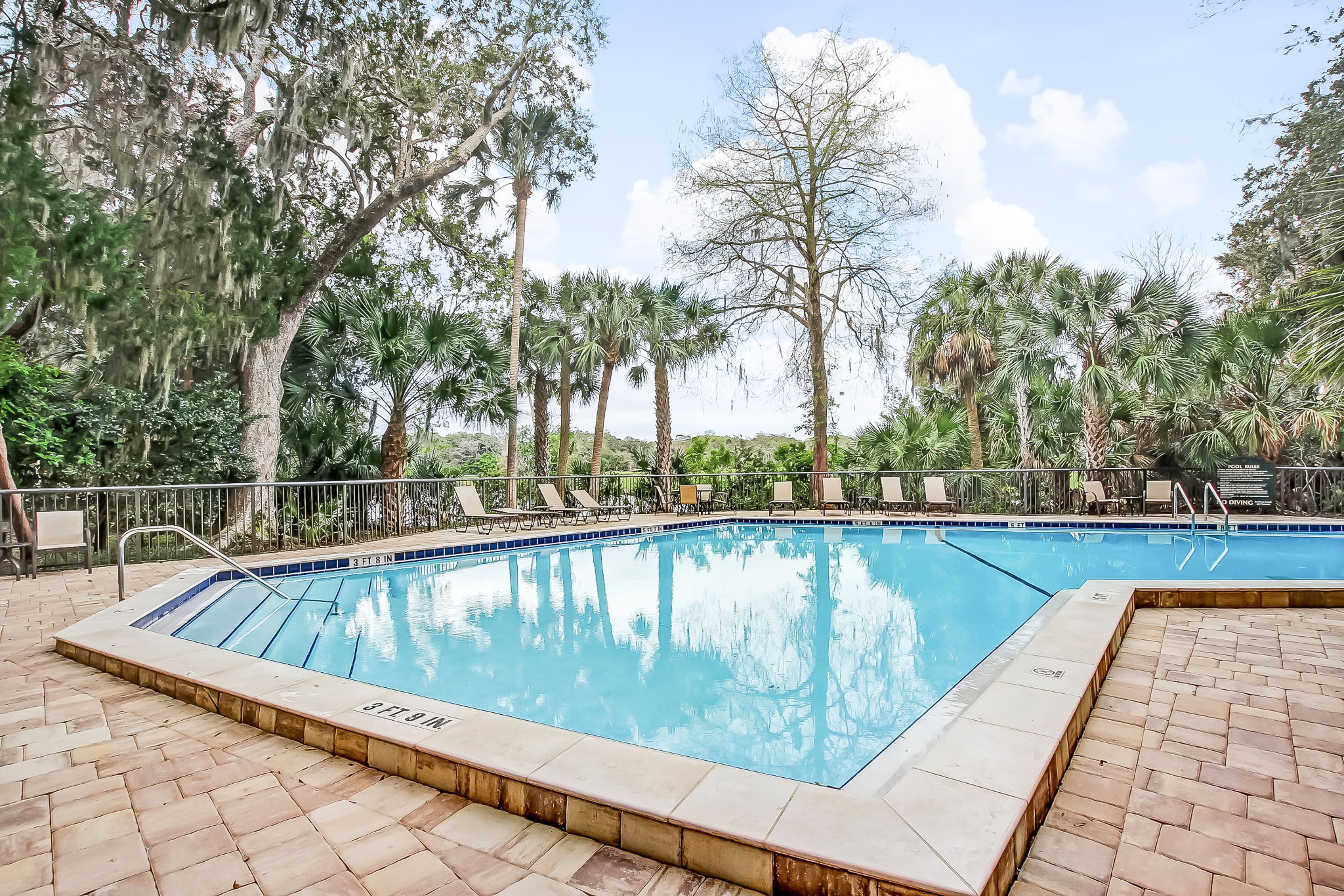 Una piscina rectangular con borde de azulejos, rodeada de sillas de descanso y palmeras.