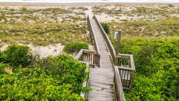 Ein Holzsteg führt zu einem Strand mit Dünen und Vegetation.