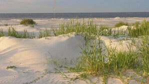 Una playa con dunas de arena y vegetación escasa.