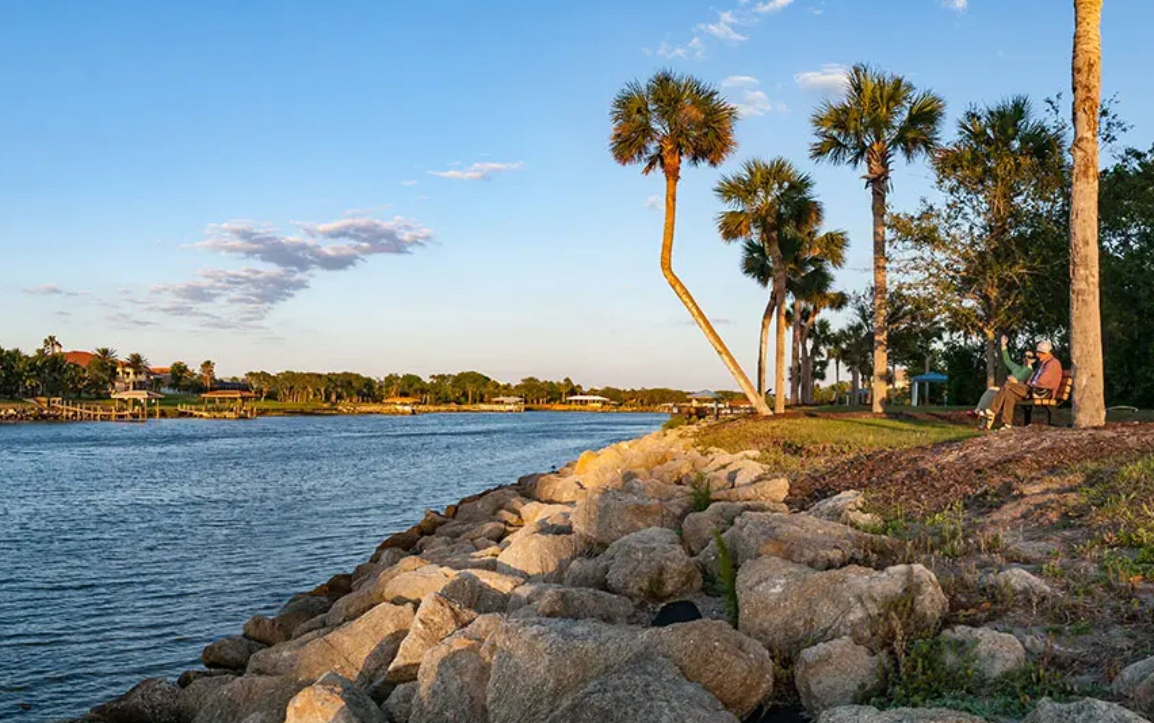A waterfront scene with a rocky shoreline, palm trees, and a person sitting on a bench.