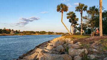 A waterfront scene with a rocky shoreline, palm trees, and a person sitting on a bench.