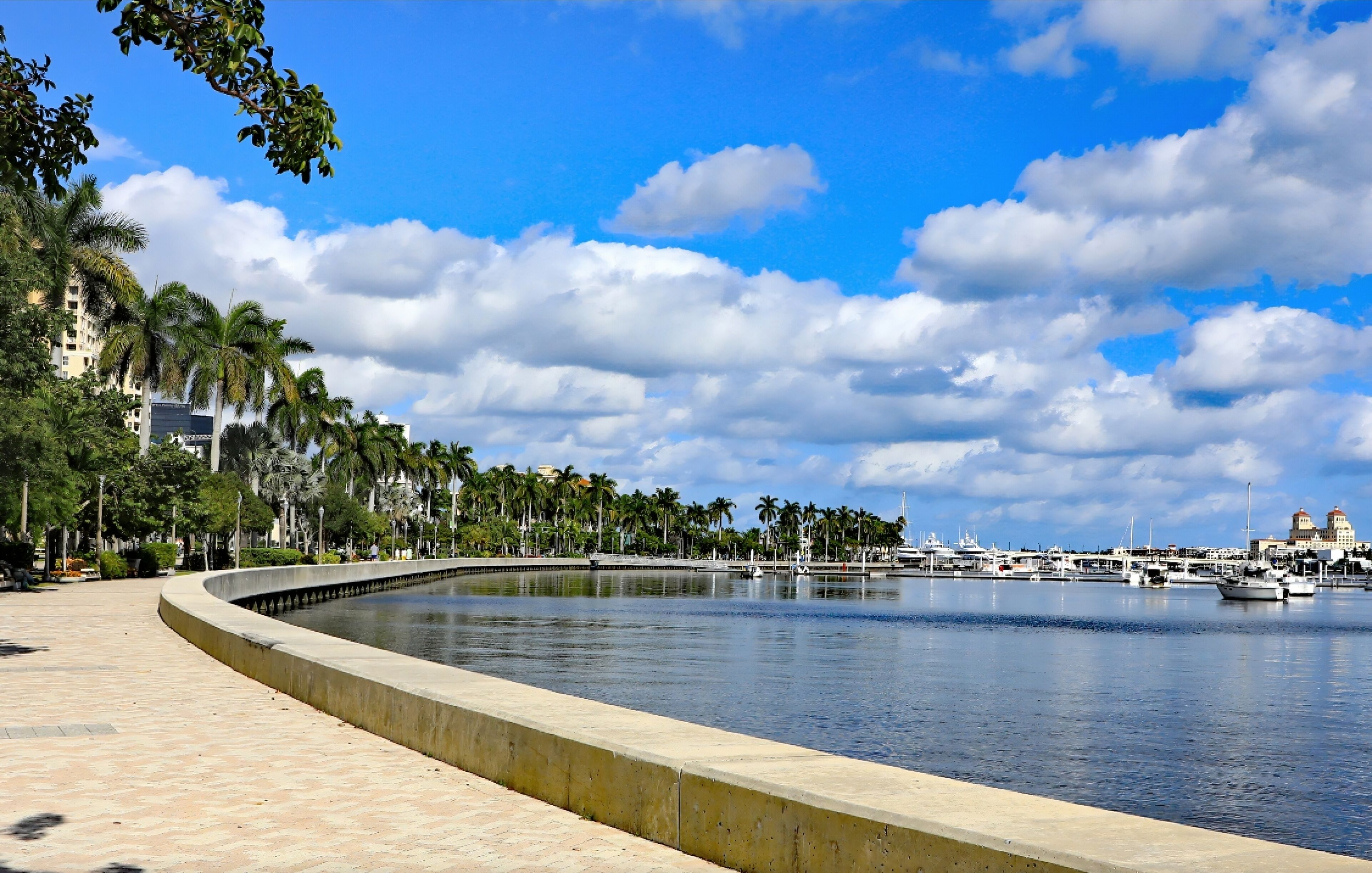 A waterfront promenade with a curved concrete edge, lined with palm trees and a marina with boats.