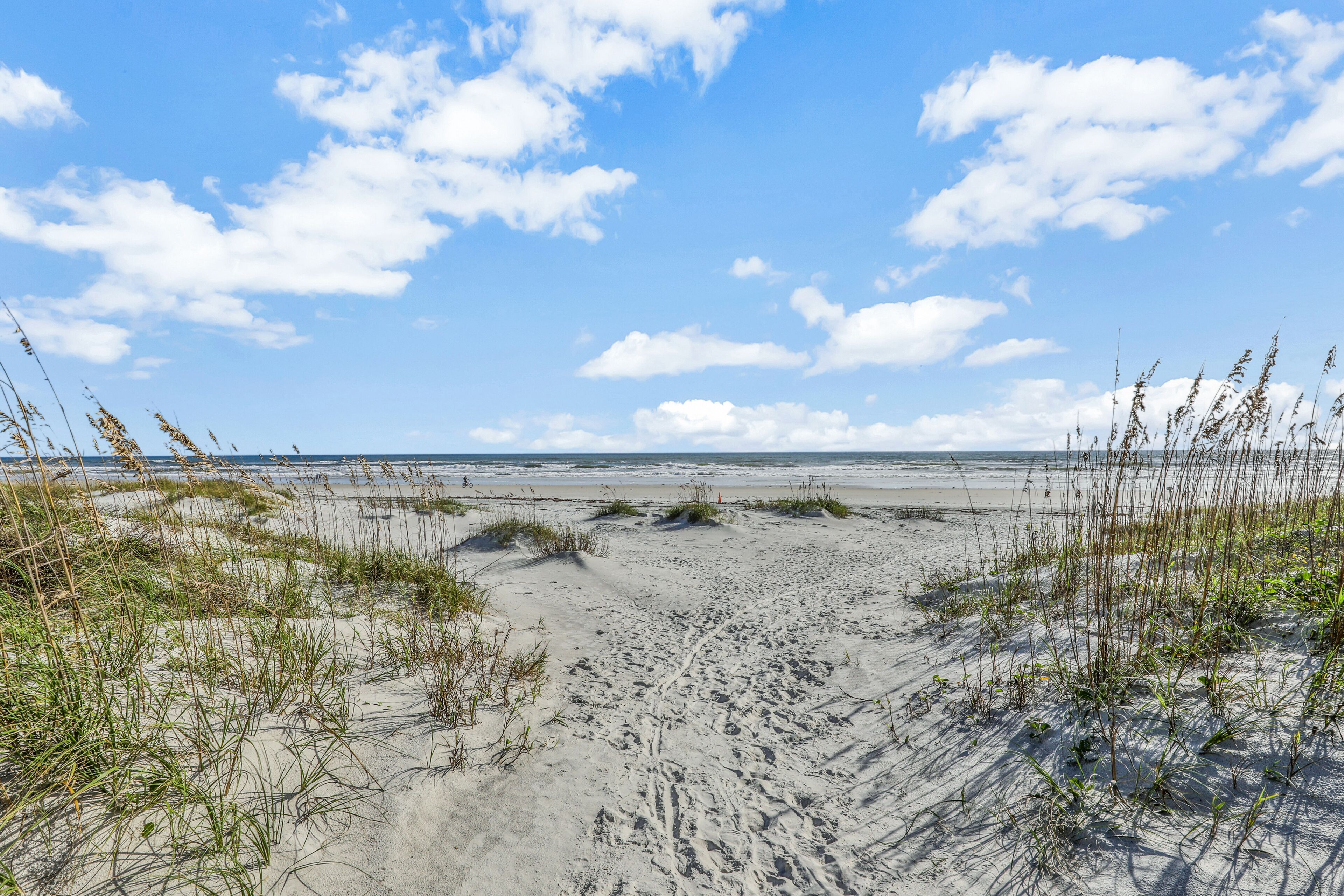 A sandy beach with sparse vegetation and a clear sky.