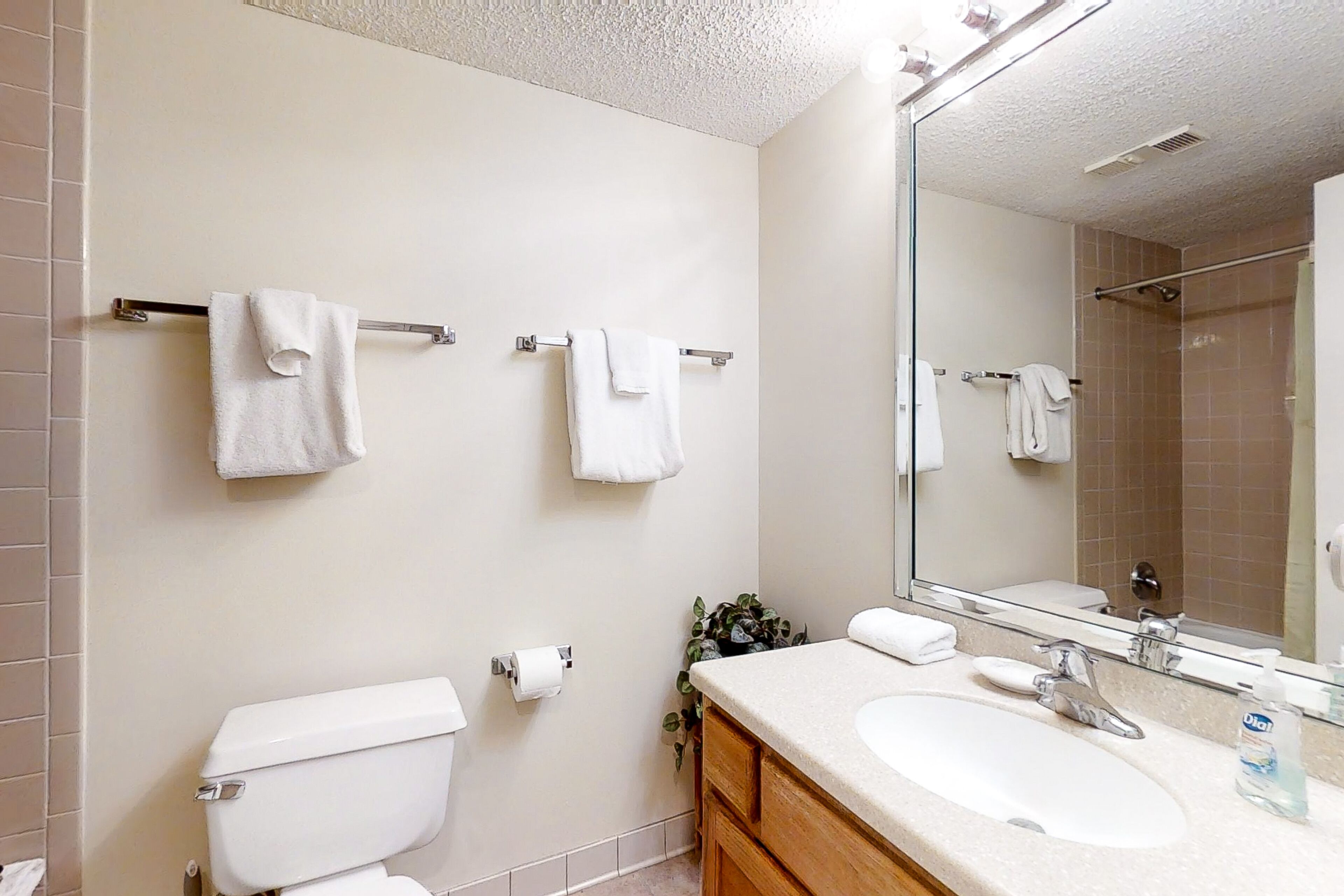 A bathroom with a toilet, two towel racks, a sink with a mirror, and a small plant.