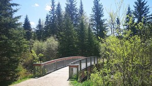 Un ponte di legno che scavalca un sentiero sterrato in una zona boschiva.