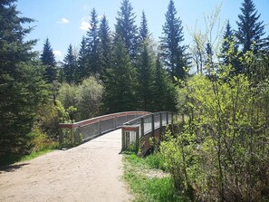 Property grounds - Cozy Suite w/ Full Kitchen, In-Suite Laundry, King Bedroom • Sleeps 4 (Edmonton)