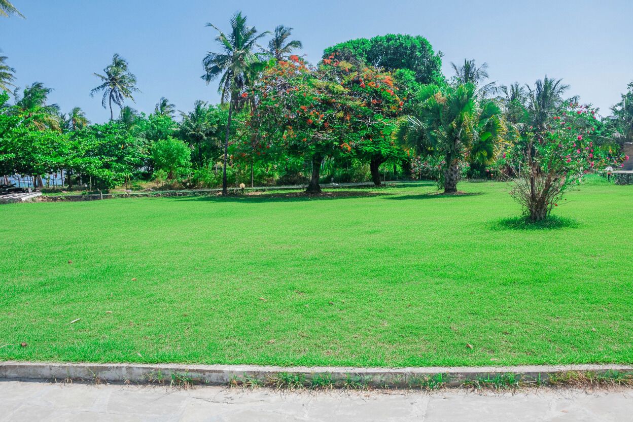 A well-maintained grassy area with trees and a clear sky.