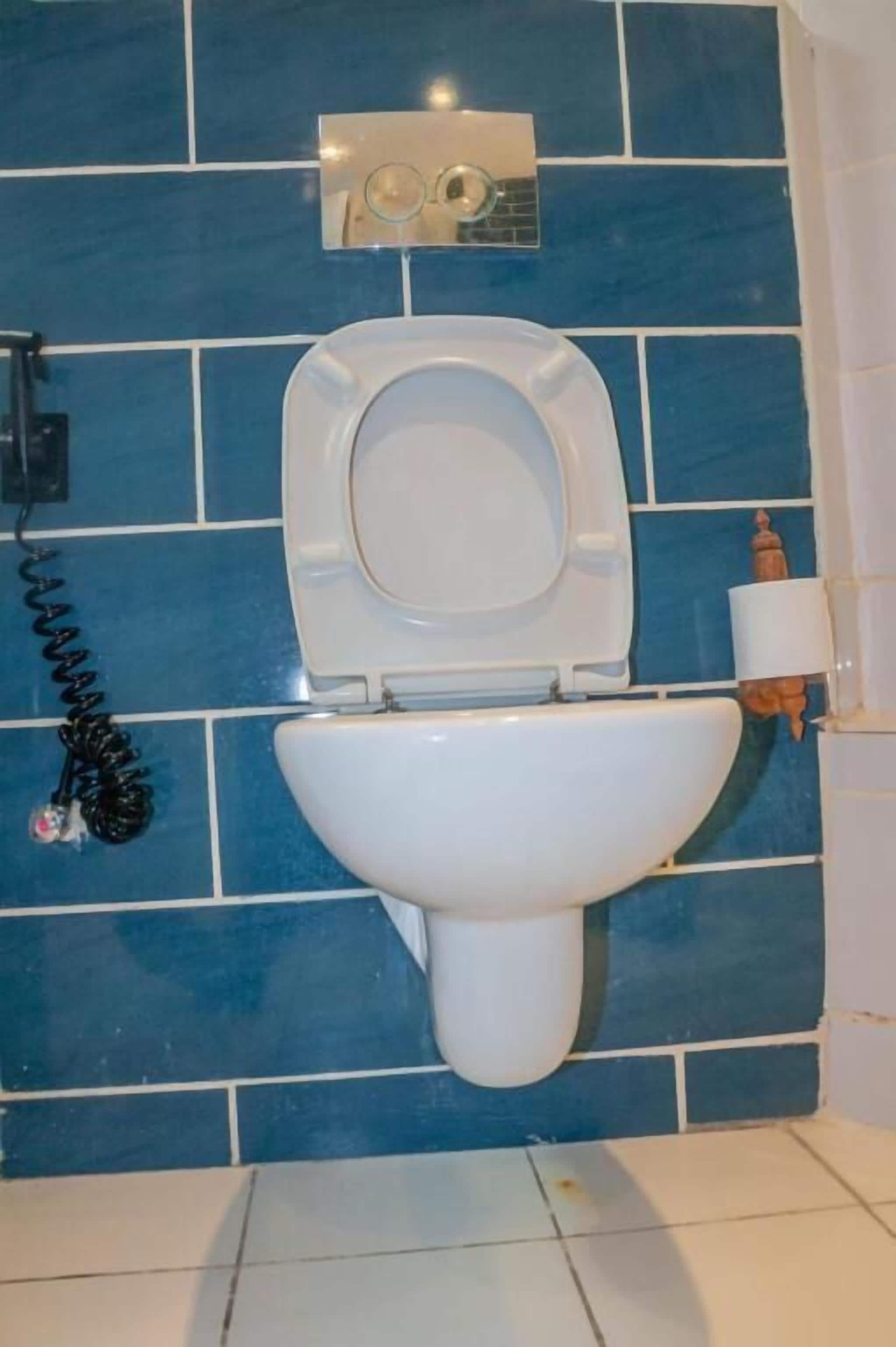 A bathroom with a toilet, a bidet, and a wall-mounted flush handle.