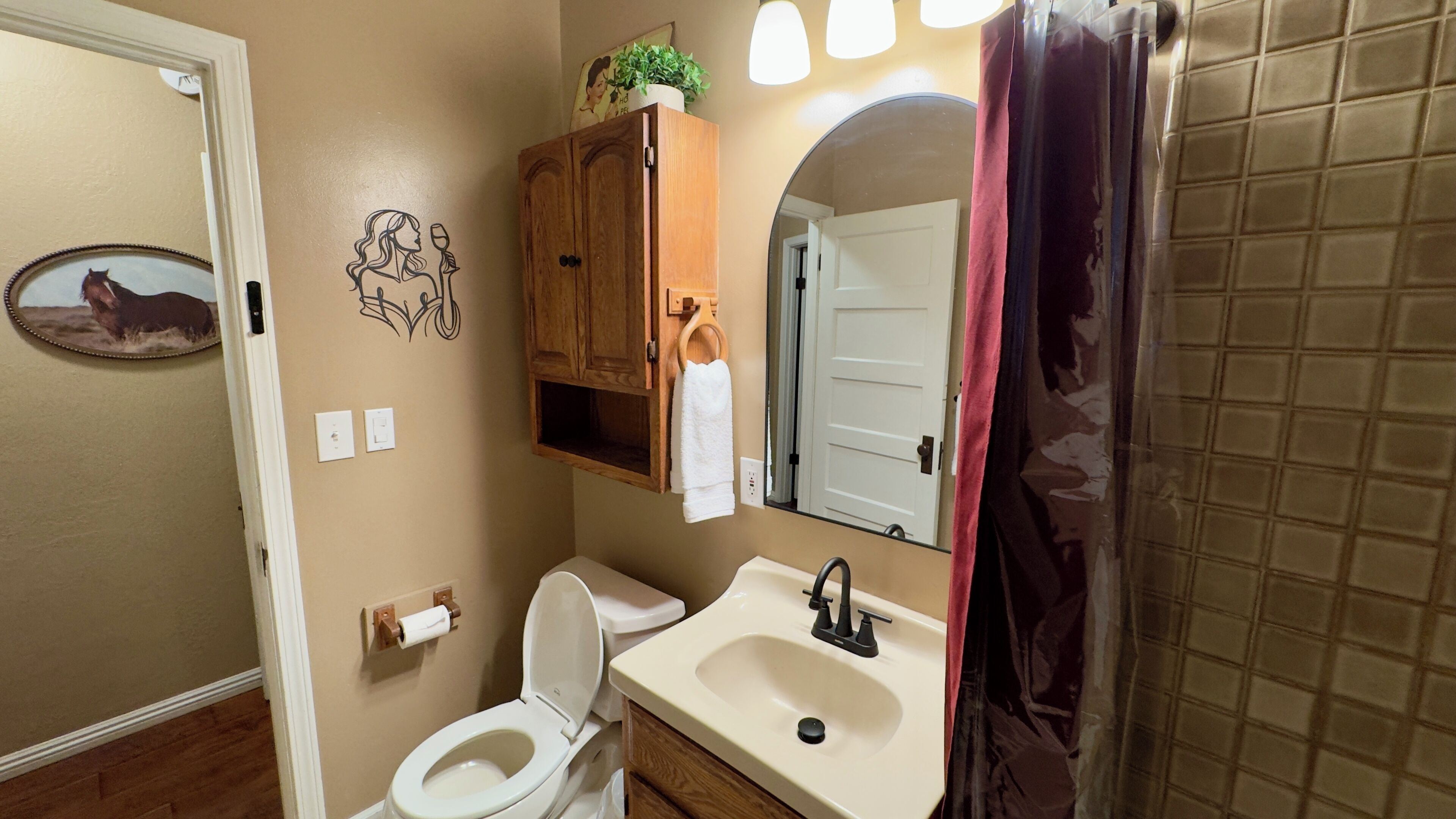 Hair dryer, towels, soap, toilet paper