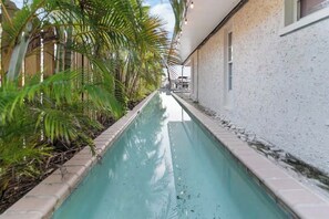 Pool - Marvelous 5BR house, Studio, Pool, Hottub, in sunny Palm Harbor (Palm Harbor)