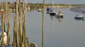 Un port de plaisance où plusieurs bateaux sont amarrés, entouré de poteaux en bois et bordé d’une étendue d’eau calme.