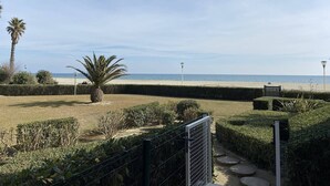 Blick auf einen Strand mit einer Palme, einem Zaun und einem Weg zum Strand.