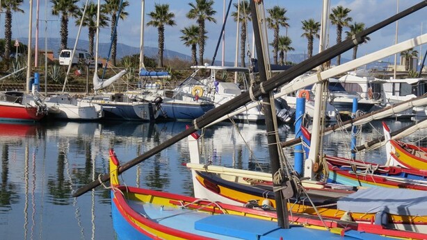 A marina with various boats docked, palm trees in the background, and a clear sky. - Cozy studio beach access, balcony and parking (Le Barcarès)
