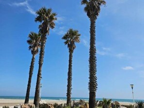 On the beach - 2-room apartment for 5 ppl with pool and parking facing the sea (Canet-Plage)