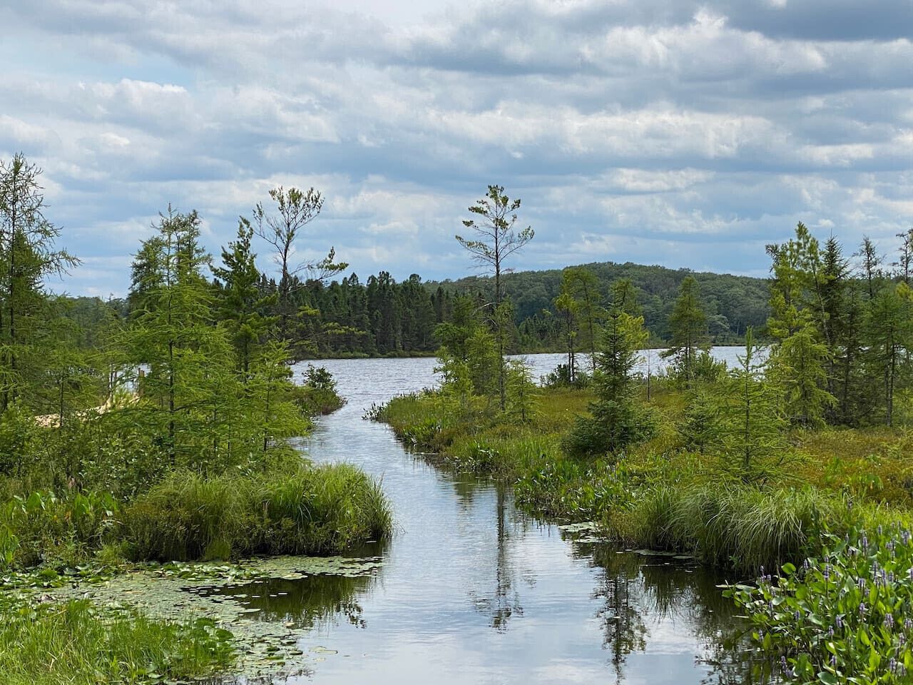 View of channel and lake from back yard