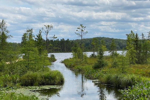 View of channel and lake from back yard