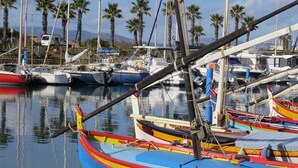 A marina with various boats docked, palm trees in the background, and a clear sky.