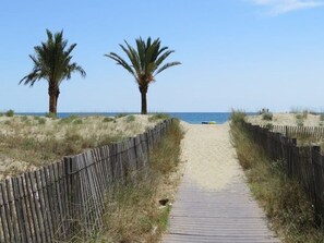 A wooden boardwalk leading to a beach with two palm trees on either side. - Modern apartment with AC 100 m from the beach for 6 pers (Le Barcarès)