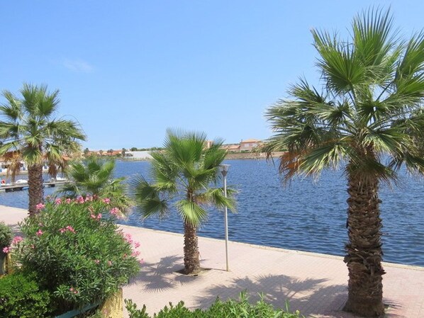 A waterfront promenade with palm trees and a body of water. - Apartment for 4 with parking in Barcarès (Le Barcarès)