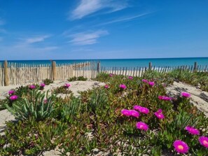 A beach with a wooden fence, sandy terrain, and pink flowers. - Apartment for 4 with parking in Barcarès (Le Barcarès)