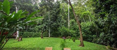 クラシック ルーム 1 ベッドルーム ガーデンビュー | 施設の敷地