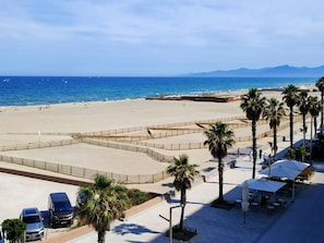 Ein Strand mit blauem Himmel, Palmen und einem Parkplatz mit Autos.