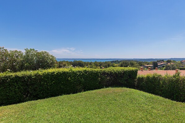 A well-maintained garden with a neatly trimmed hedge and a grassy lawn.