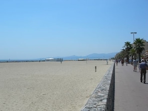 Een strand met een verharde promenade, palmbomen en een heldere lucht.