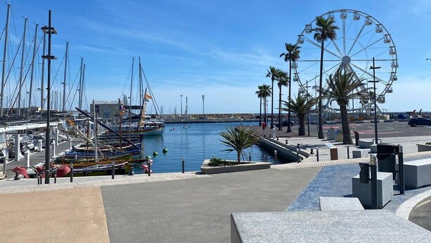 Un puerto deportivo con barcos, una noria y palmeras.