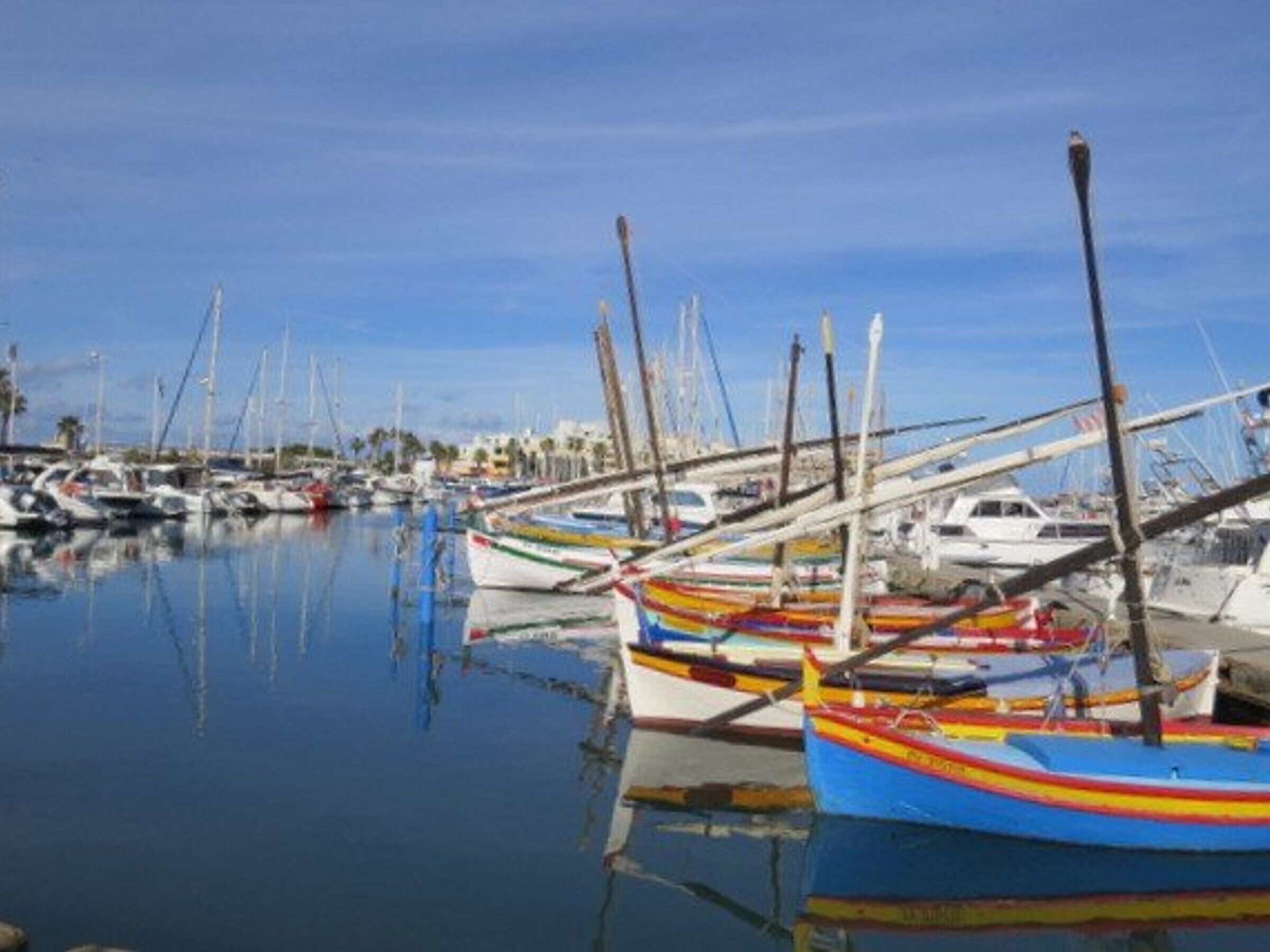 A marina with various boats docked.